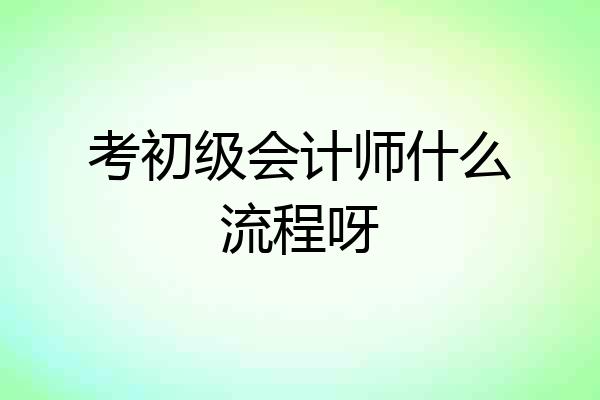 考初级会计师什么流程呀