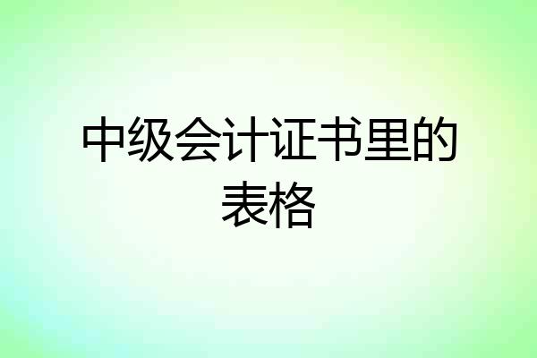 中级会计证书里的表格