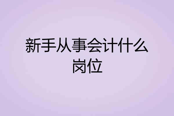 新手从事会计什么岗位