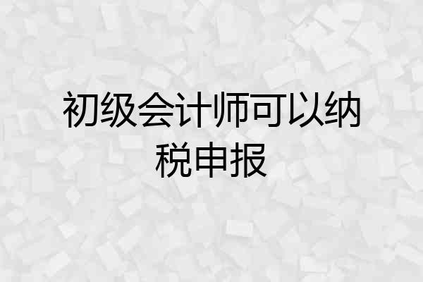 初级会计师可以纳税申报