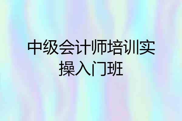 中级会计师培训实操入门班