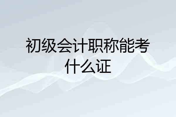 初级会计职称能考什么证