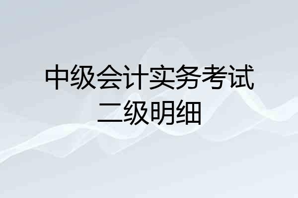 中级会计实务考试二级明细