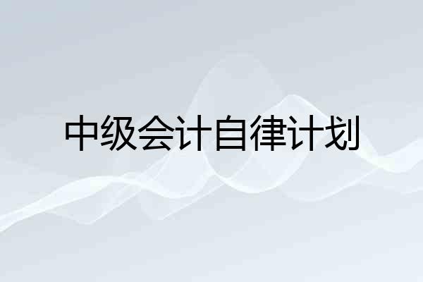 中级会计自律计划
