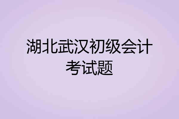 湖北武汉初级会计考试题