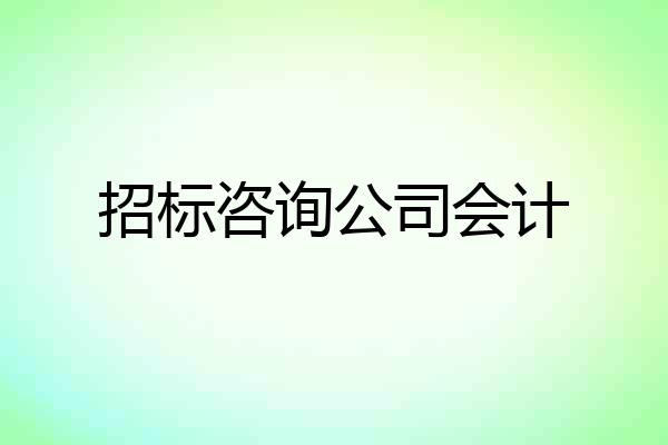 招标咨询公司会计