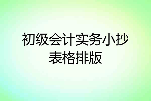 初级会计实务小抄表格排版