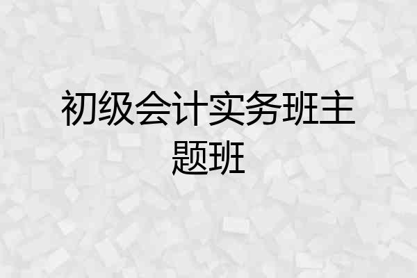初级会计实务班主题班