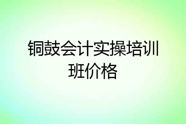 铜鼓会计实操培训班价格