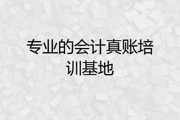 专业的会计真账培训基地