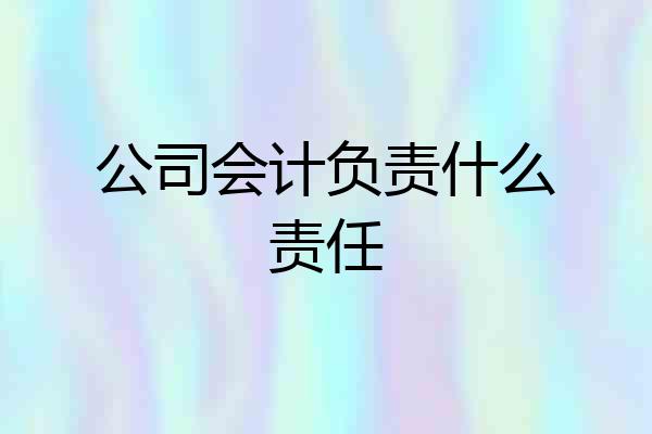 公司会计负责什么责任