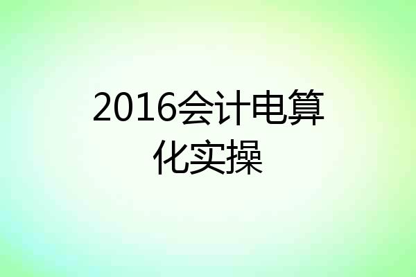 2016会计电算化实操