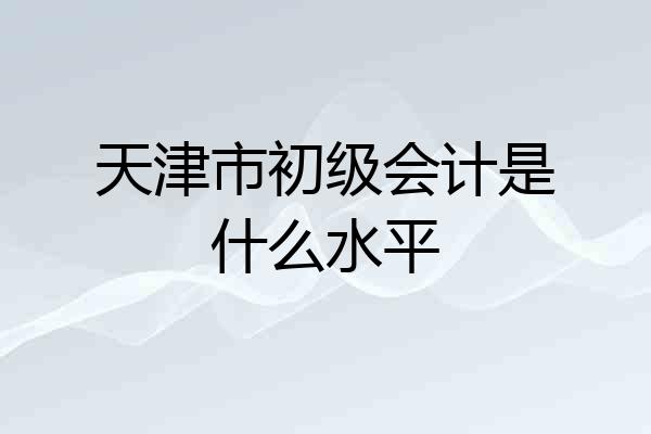 天津市初级会计是什么水平