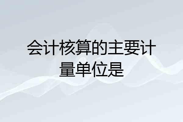 会计核算的主要计量单位是