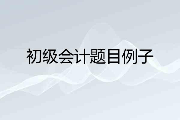 初级会计题目例子