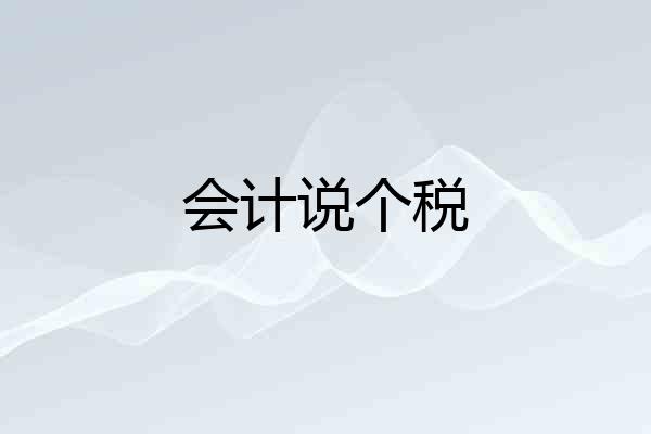 会计说个税