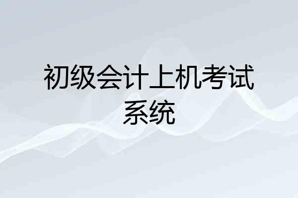 初级会计上机考试系统