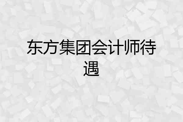 东方集团会计师待遇
