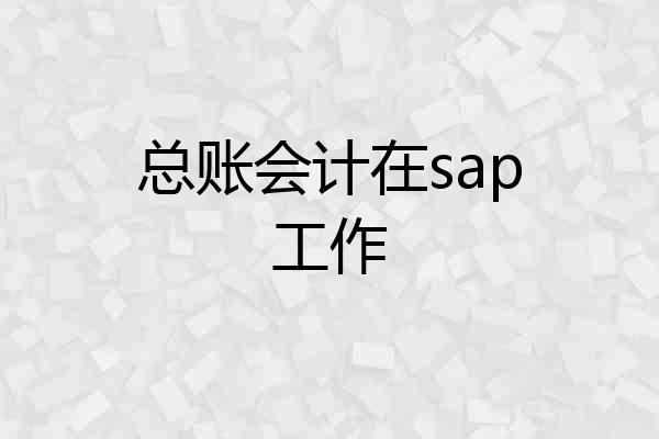 总账会计在sap工作