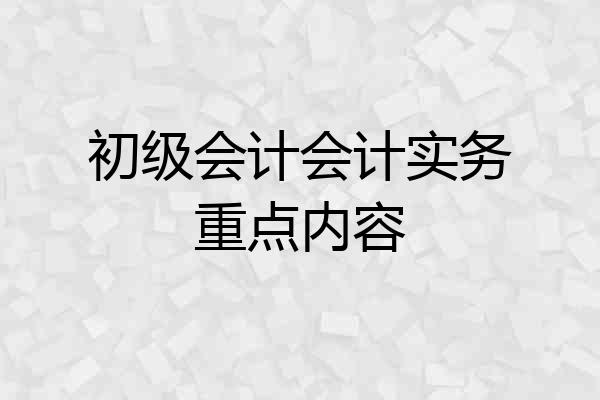 初级会计会计实务重点内容