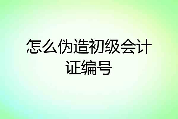 怎么伪造初级会计证编号