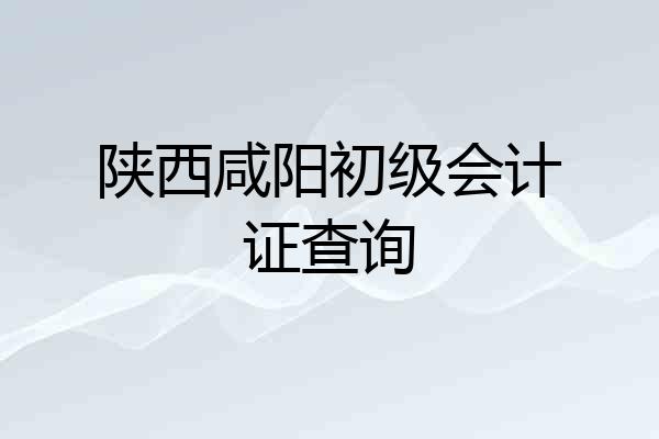 陕西咸阳初级会计证查询