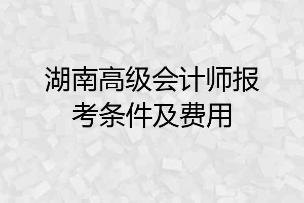 湖南高级会计师报考条件及费用