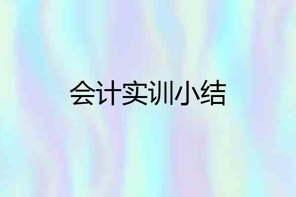 会计实训小结