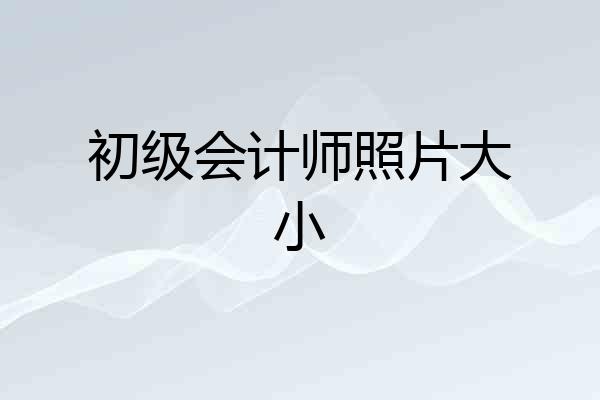 初级会计师照片大小