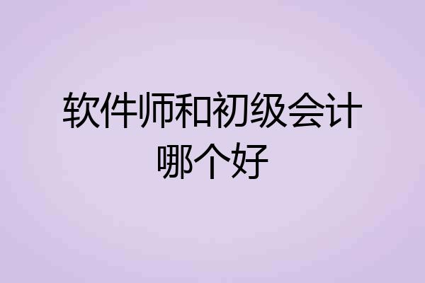软件师和初级会计哪个好