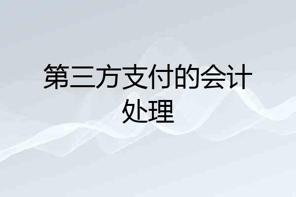 第三方支付的会计处理