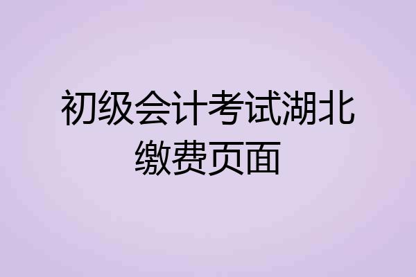 初级会计考试湖北缴费页面