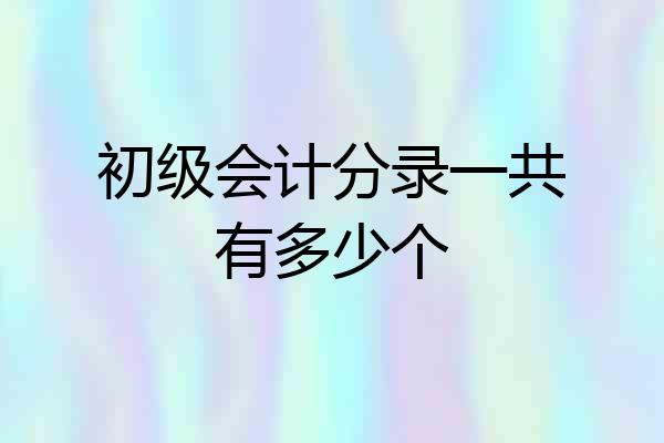 初级会计分录一共有多少个