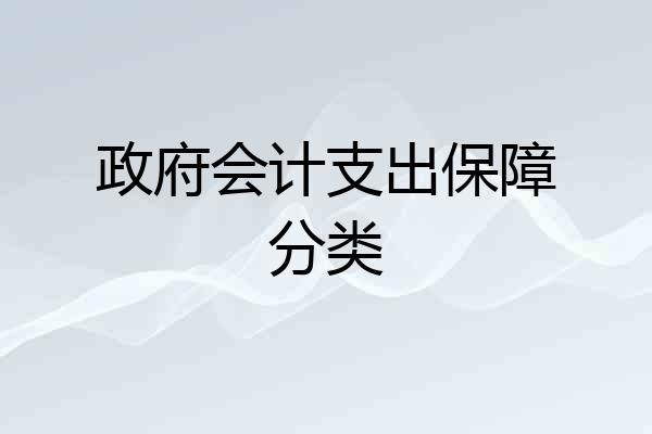 政府会计支出保障分类