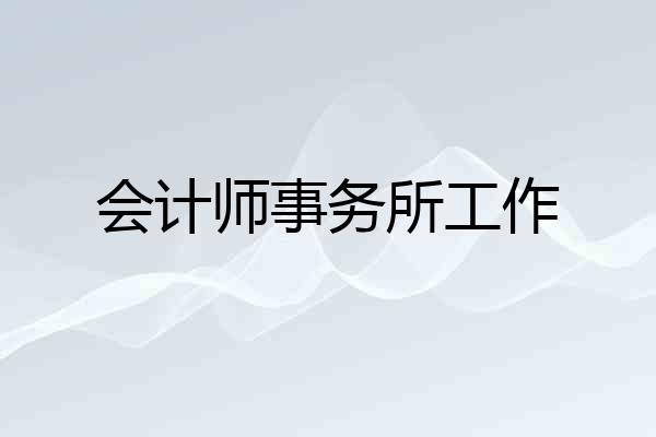 会计师事务所工作