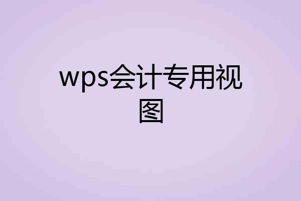wps会计专用视图