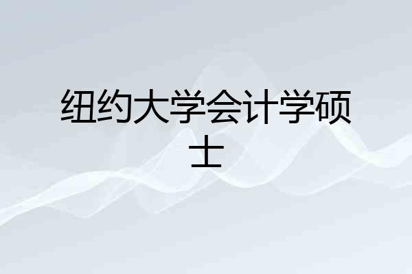 纽约大学会计学硕士