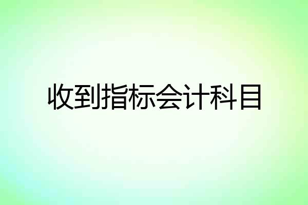 收到指标会计科目