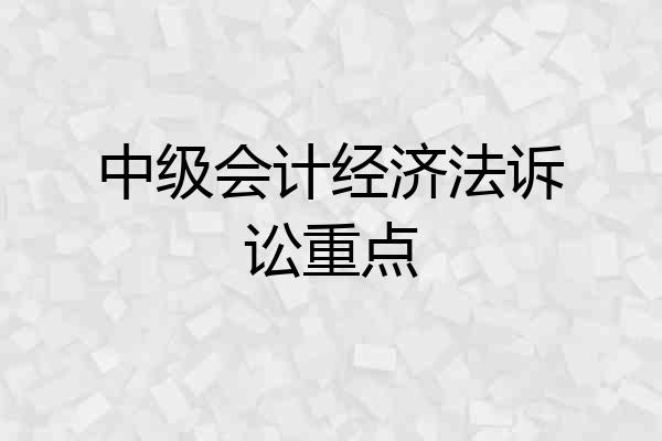 中级会计经济法诉讼重点