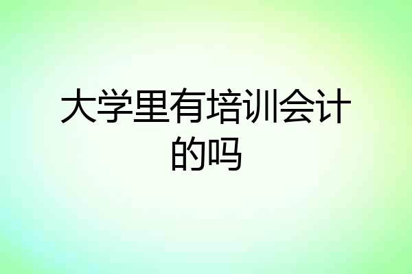 大学里有培训会计的吗