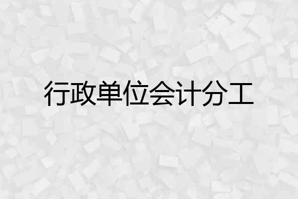 行政单位会计分工