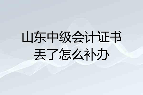 山东中级会计证书丢了怎么补办