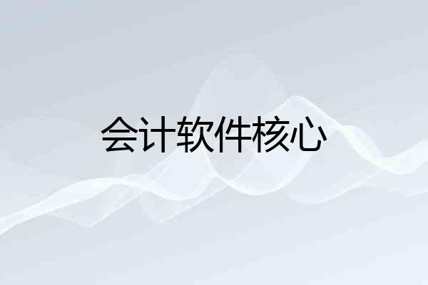 会计软件核心