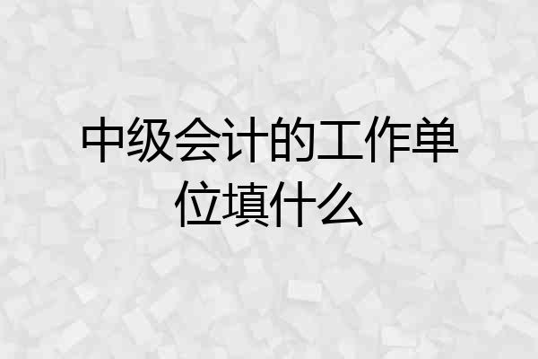 中级会计的工作单位填什么
