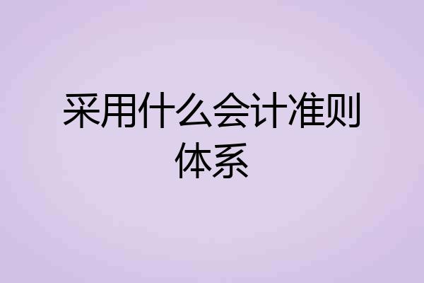 采用什么会计准则体系