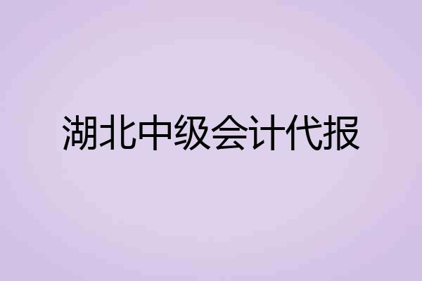 湖北中级会计代报