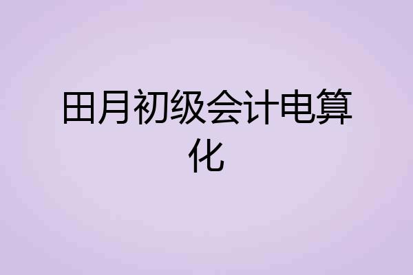田月初级会计电算化