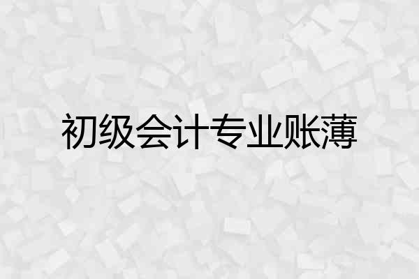 初级会计专业账薄