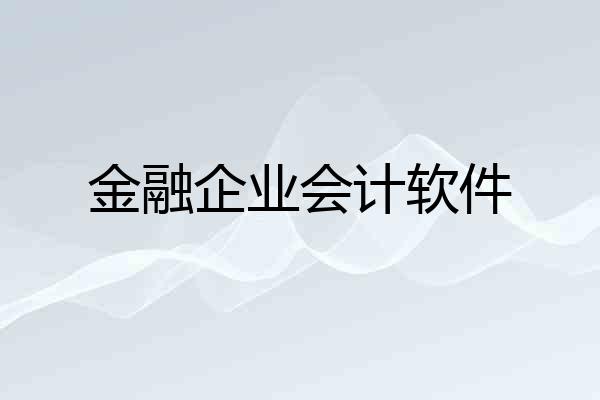 金融企业会计软件