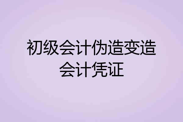 初级会计伪造变造会计凭证